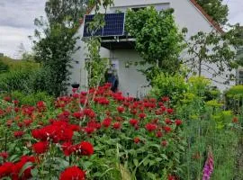 Ferienwohnung Adebar