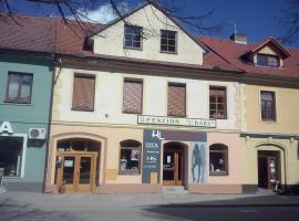 Penzion U Báby, hotel in Třeboň