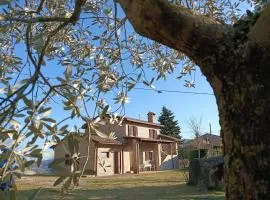 Casa Paradiso - Assisi