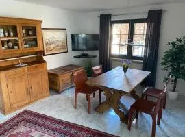 Excl Ferienwohnung im Dreiländereck D-F-CH mit beheiztem kl Pool zum Schwimmen und Massieren