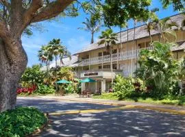 Islander on the Beach 246