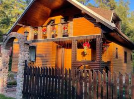 Grisli house, hotel with parking in Gauja