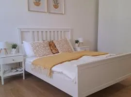 Apartman MWM Brno