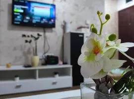 Apartman Tara 2