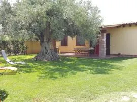 Casa "Le Antiche Macine" Trilocale fra Ulivi Secolari