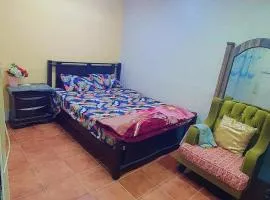 Furnished Bedroom with beside or out side bathroom