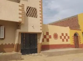 Mourad morsy مراد