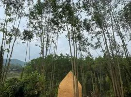 Thiền Buông Thả
