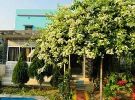Shobuj Kutir সবুজ কুটির
