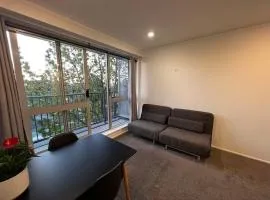 AURA C two bedrooms 1living room WiFi balcony goodview easy parking 203
