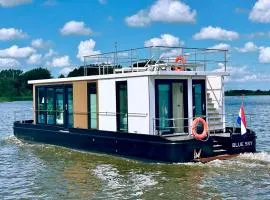 Homeship Blue Sky