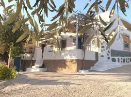 Aloe House