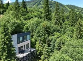 Forest Hub