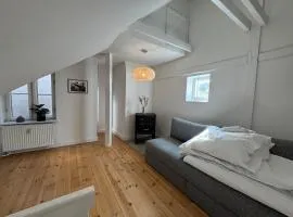 Kattesundet Apartments Best Location in Copenhagen