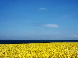 Ferienwohnung Albert