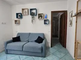 Znc Holiday House