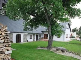 Holiday Home Holetín by Interhome