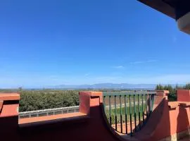 B&B Le Palme San Costantino