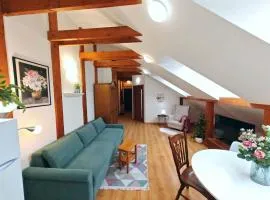 Stela Old Town Apartment with private parking