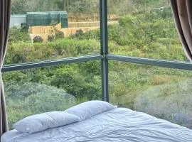 Chu House