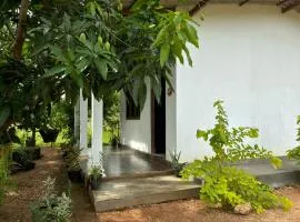 Peacock village and family resort