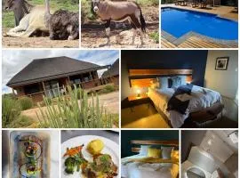 Klein Karoo Game Lodge