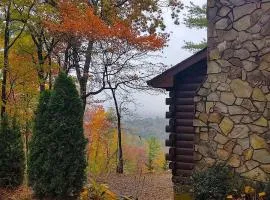 Log Cabin