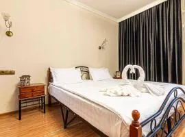 Нурлы тау 207