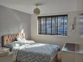 Three bedroom house with a garden