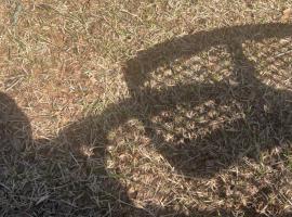 Dna, hotel em Memphis