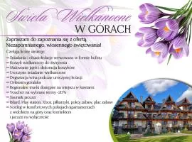 ECO Willa Karpatia Ski&Wellness
