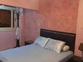 الشيخ زايد