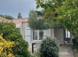 Maison à La Guérinière, proche plage, pour 6 personnes avec wifi - FR-1-823-25
