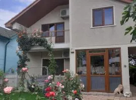 vila irina mamaia nord