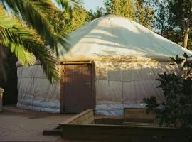Yourte jardin tropicale piscine - Quatre Murs Et Un Toit