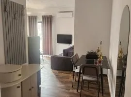 Hasanaj Central Apartment