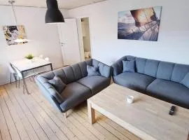 Bright and central city apartment near Aalborg Business School