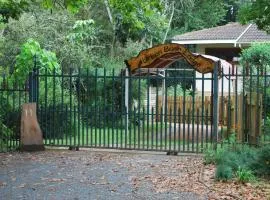 Urban Bush Lodge
