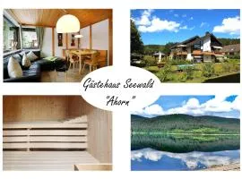 Gästehaus Seewald- Ferienwohnung 1 "Ahorn", Schluchsee, Blasiwald
