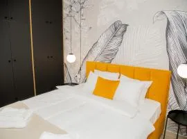 New apartment May in the city center, parking free
