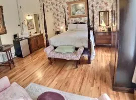 Brownstone Garden Suite Flat walk to Downtown