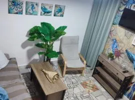 Apartamento Pacífico