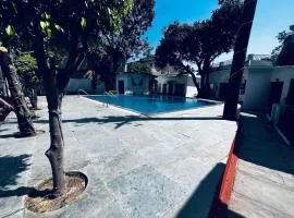 Balram INN