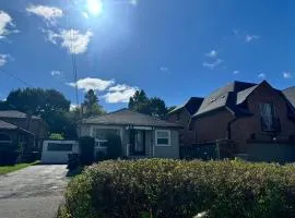 Ensuite Queen Room Sunshine & Convenience near Finch station