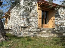 Haus im Olivenhain direkt am Meer