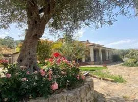 Villa Russo