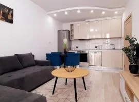 Apartman Vojvoda