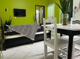 Flat Palmas