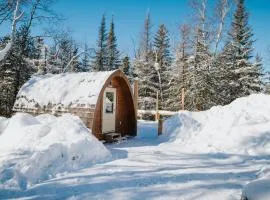 Entre Lemoine et l'arbre