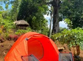 Joe Nature Camp